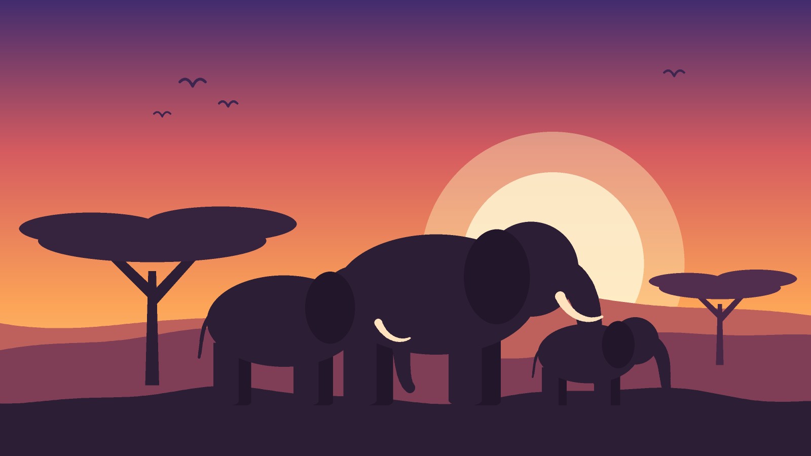 Understanding Elephants course cover